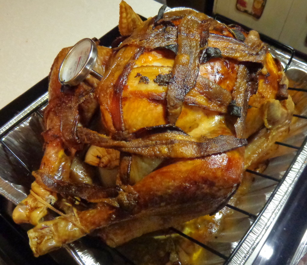 bacon turkey recipe