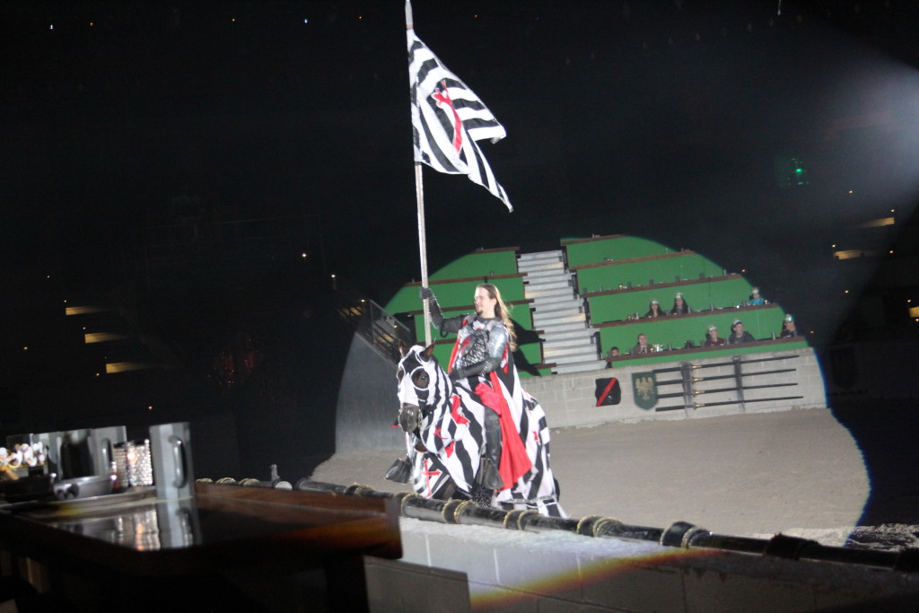 Fun for the Whole Family at Medieval Times Schaumburg