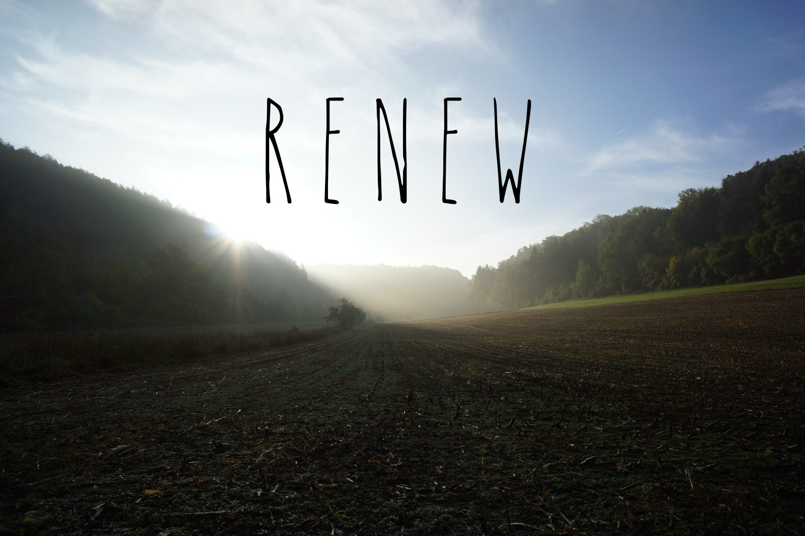 Renew and Refresh