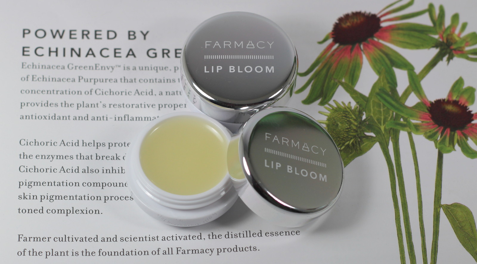 Farmacy Lip Bloom – Citrus Lemongrass & Lavender Mint